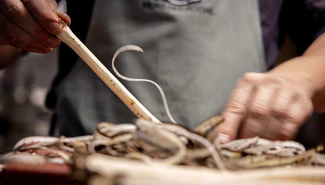 Koch.Workshop.Tage Herbst