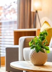 Suite Morgensonne Zöhrerhaus