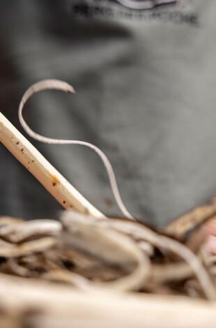 Koch.Workshop.Tage Herbst